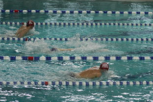 开云体育-亚洲游泳冠军赛孙杨携队友力夺接力金，中国游泳冠军孙扬