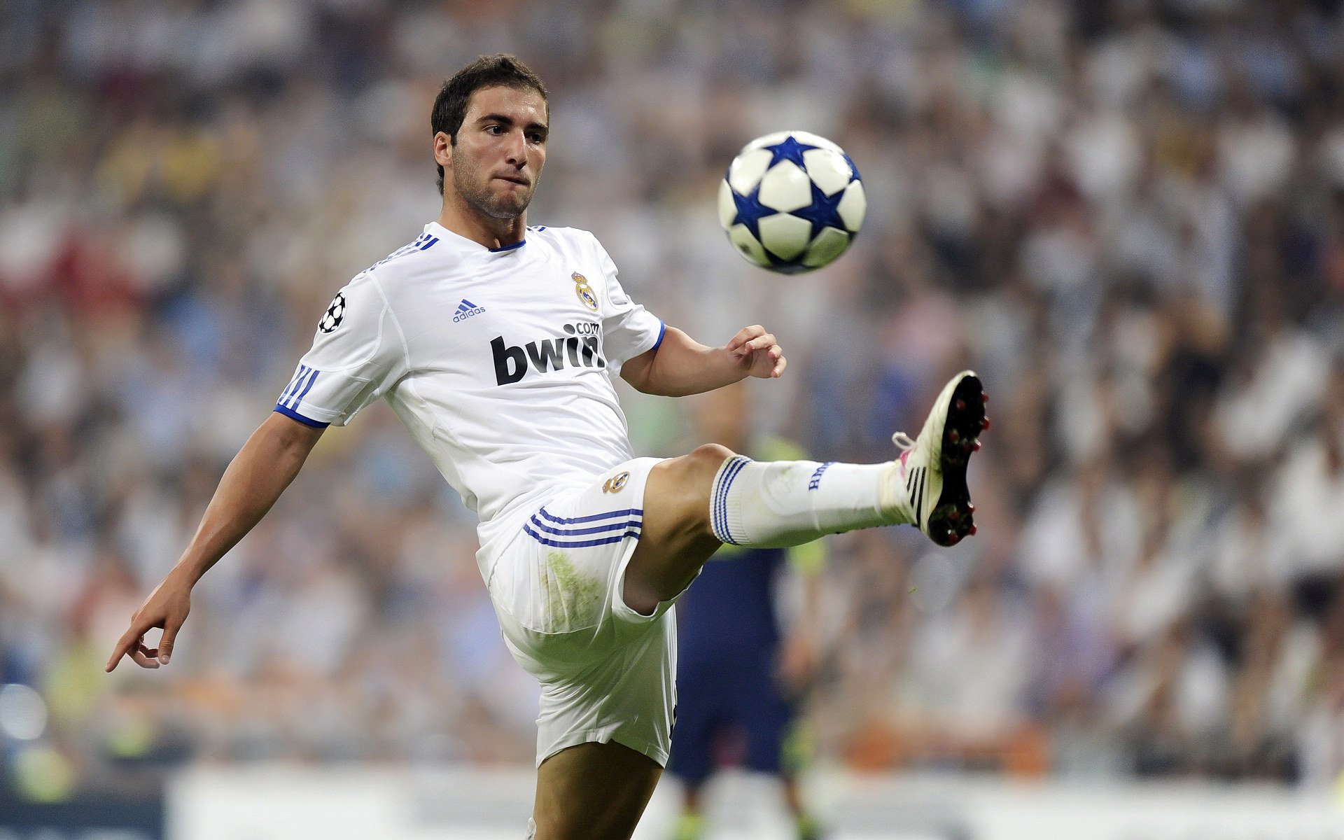 KAIYUNAPP-法甲联赛的市场潜力分析，法甲联赛怎么样